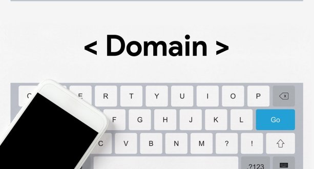 Domain And Website (1)