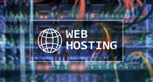 Domain Hosting